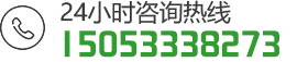 15053338273